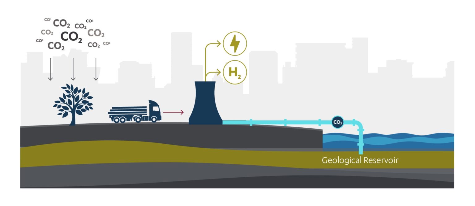 Engineered greenhouse gas removals - NIC