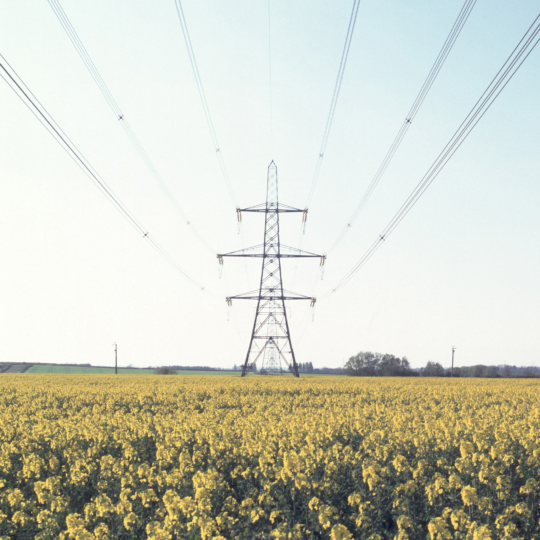 A pylon and electricity lines into the distance