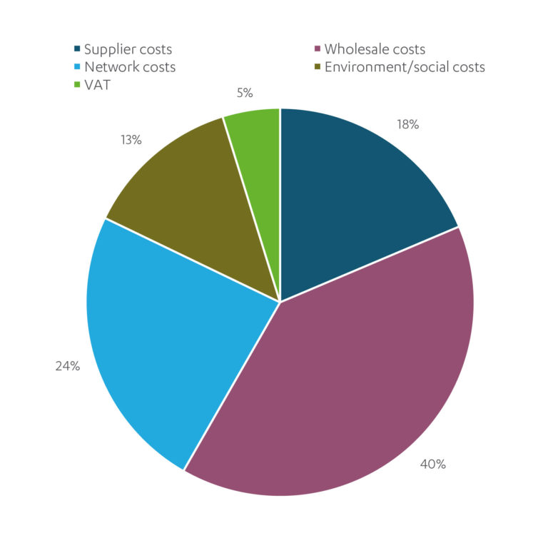 Chart showing that wholesale costs make up the biggest proportion of energy bills