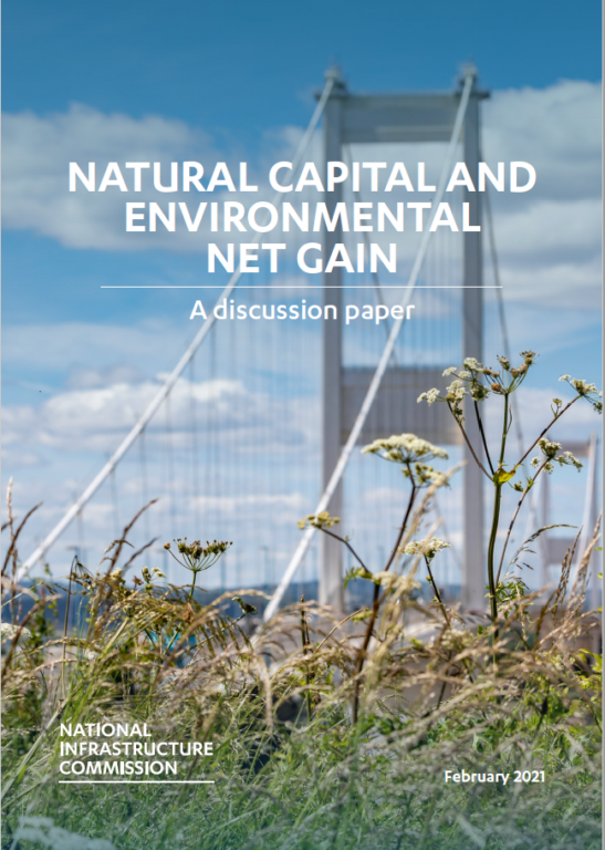 Cover of the natural capital report