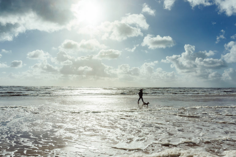 Woman walking dog along beach