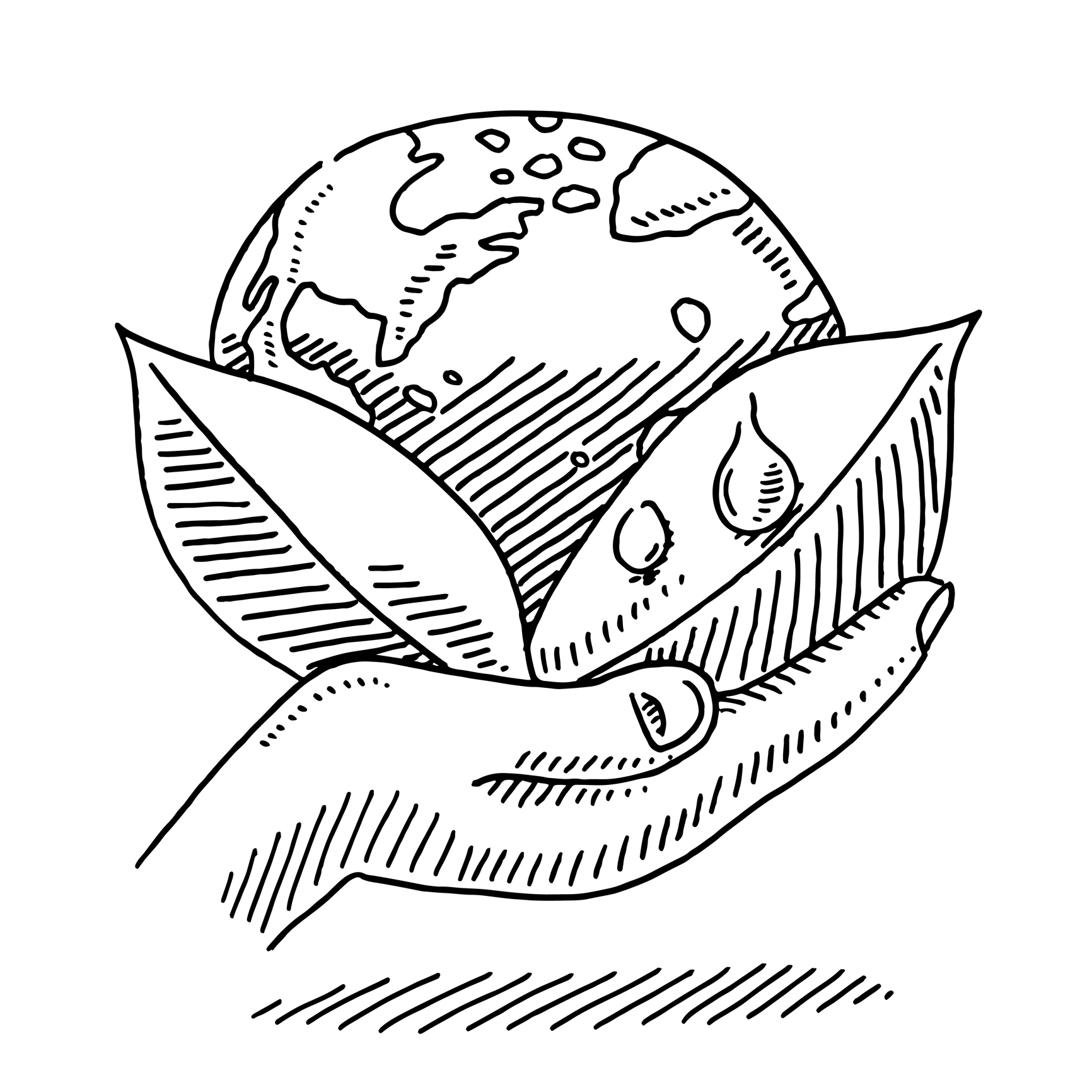 Illustration of the earth in a hand