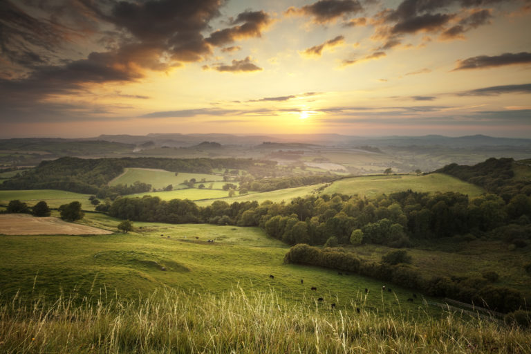 Picture of a sunset over rolling green hills in Dorset