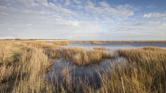 View across Pegwell Bay Marsh