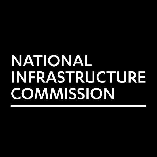 The NIC logo in white