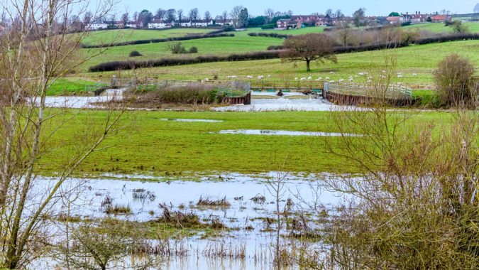 Floodplain near Wollaston
