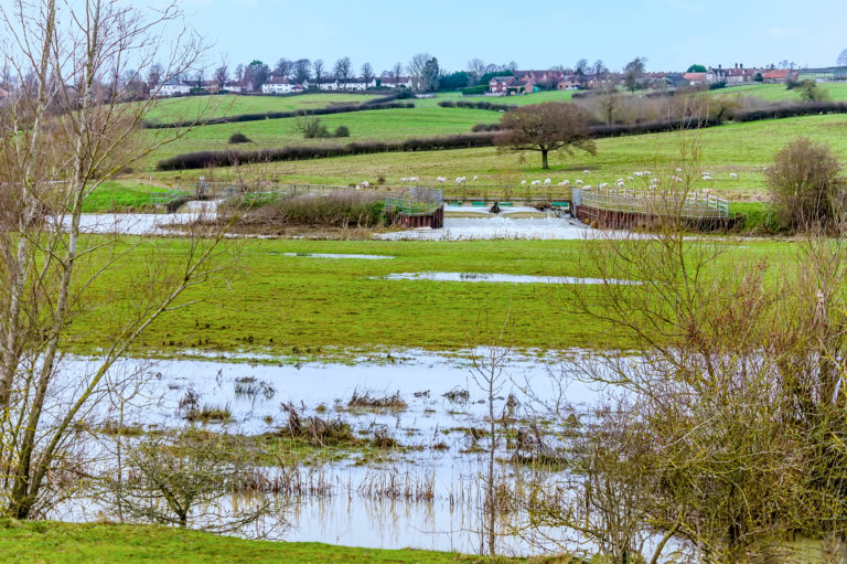 Floodplain near Wollaston
